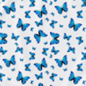 Meet your Posher, Chloe